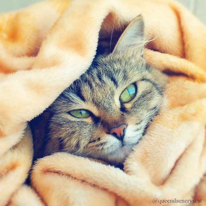 Warm
