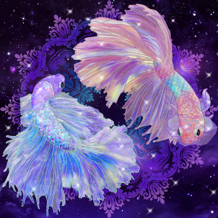 Aqua life