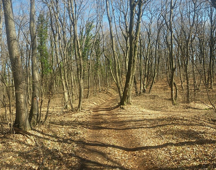 Fruska Gora