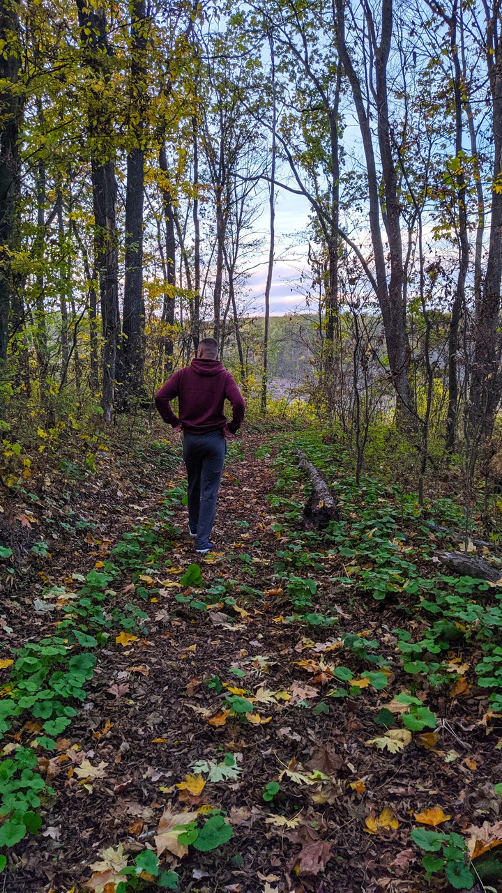 autumn