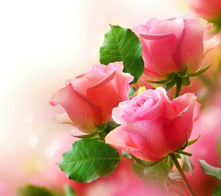 Gud morning