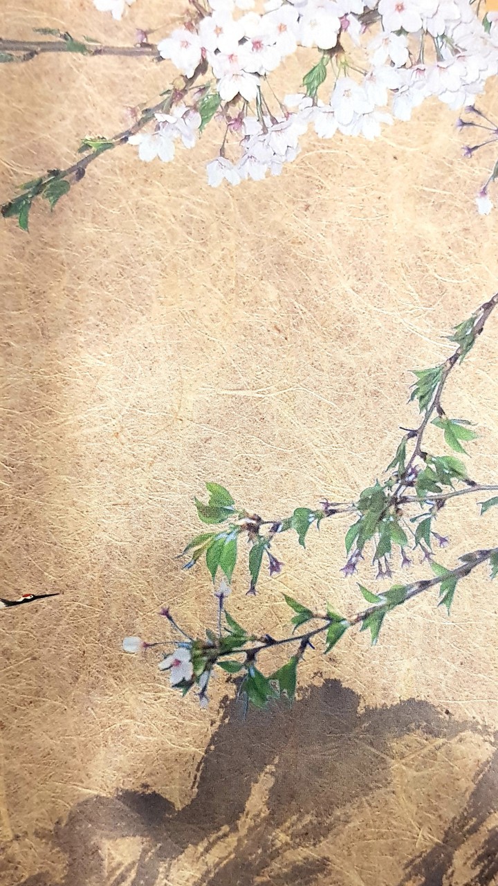 꽃바람