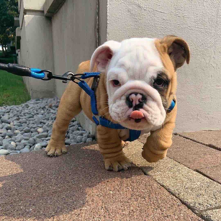 cute