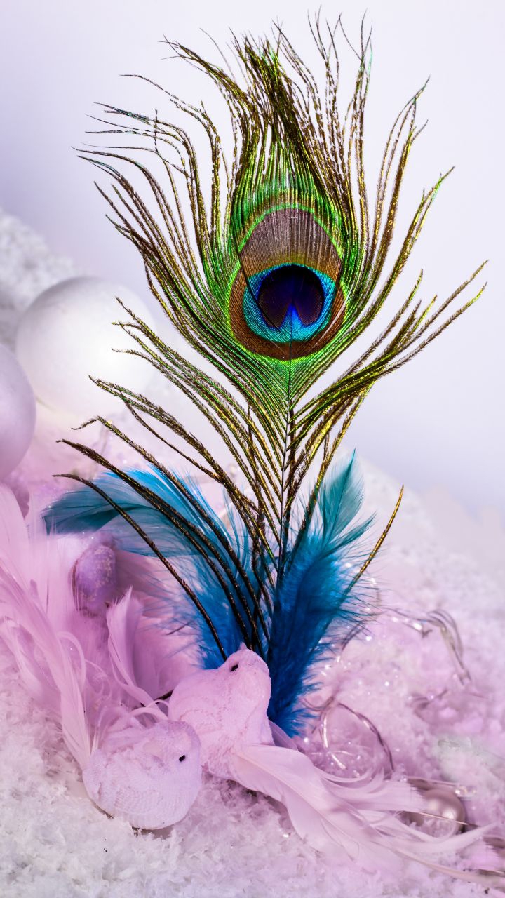 krishna
