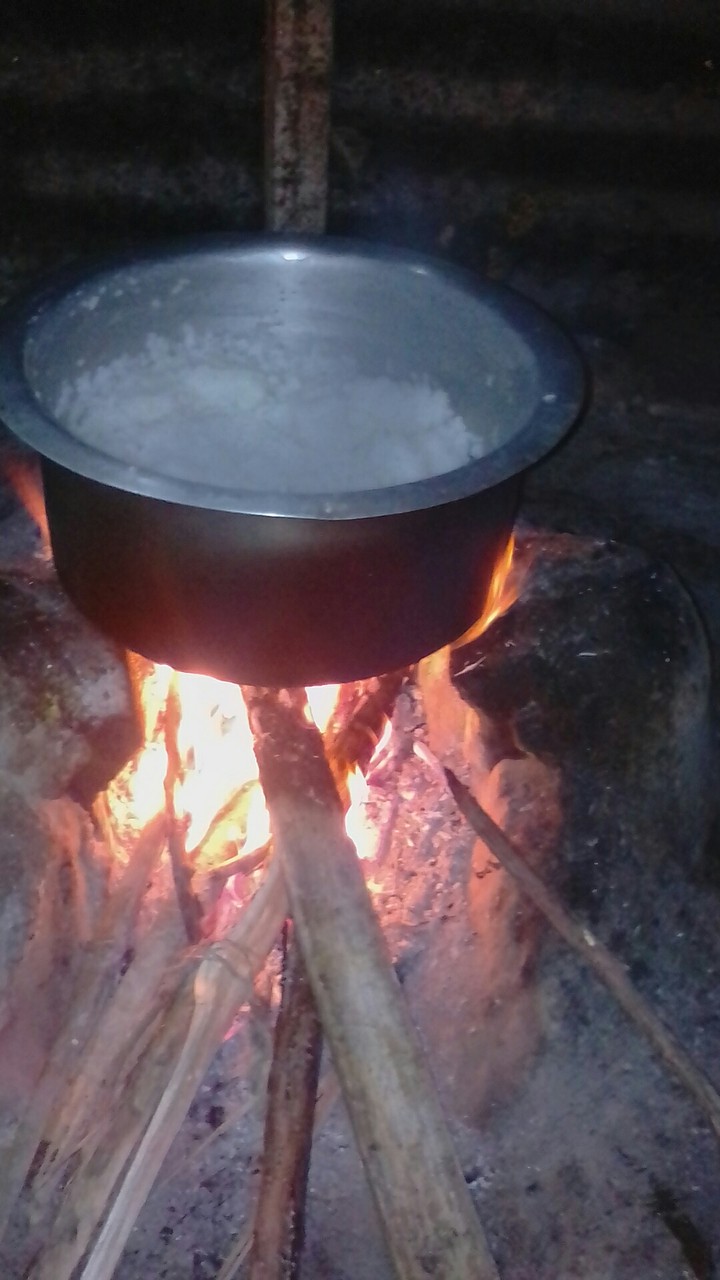 indian rice