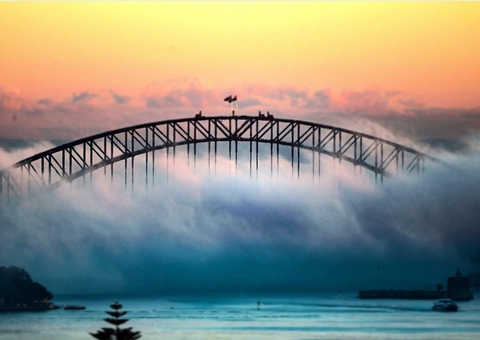 bridge in the mist