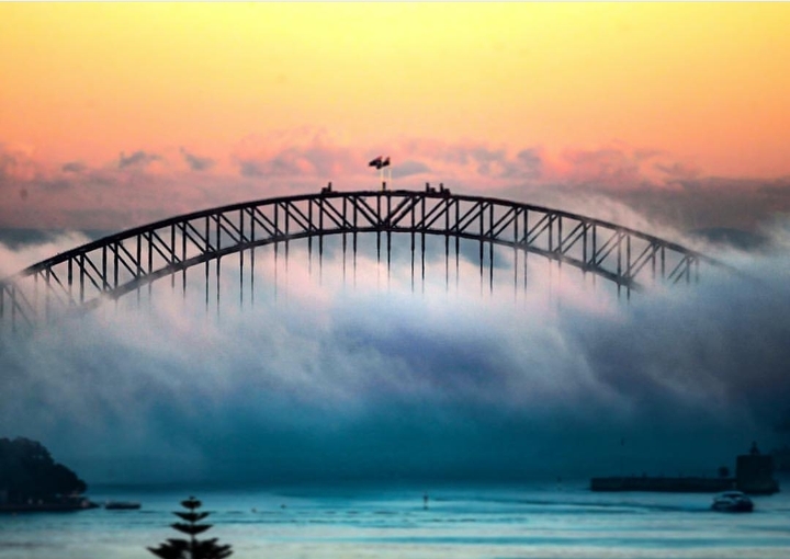 bridge in the mist