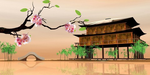 botany, petal壁纸