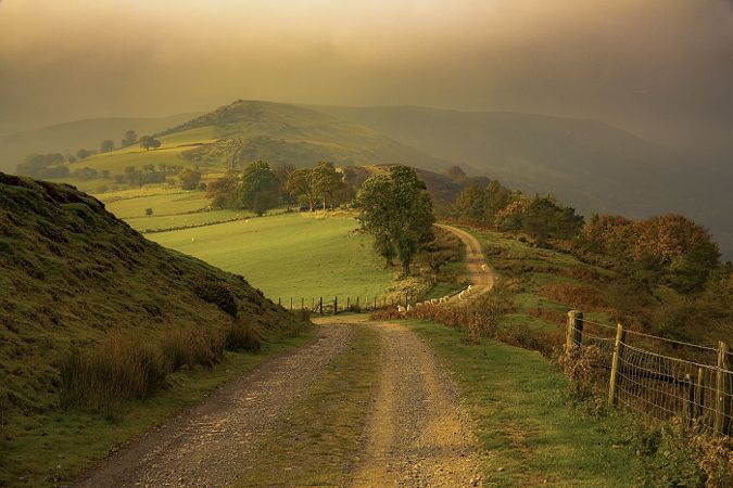 Natural Road....