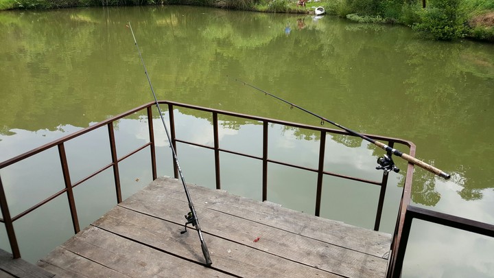 A day at the fishing