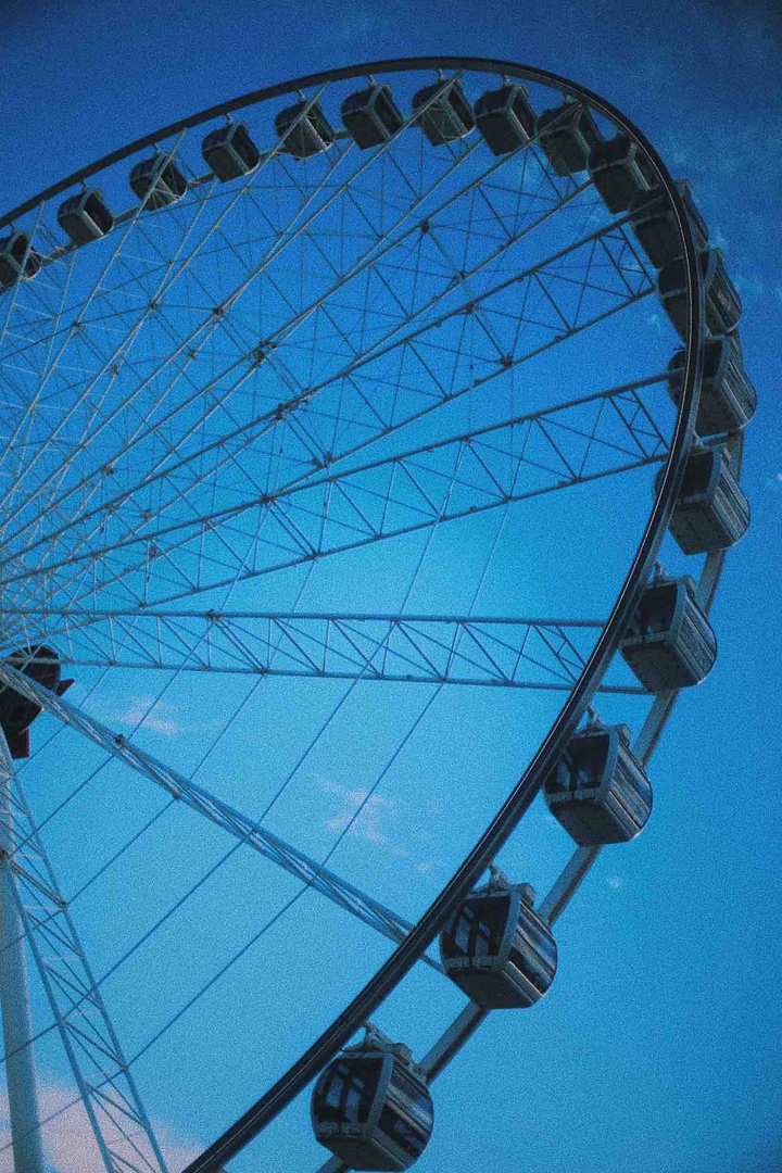 The Wheel of Brisbane