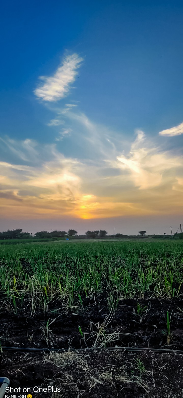 Nature at its best