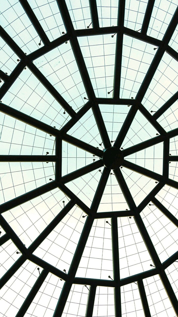 Web