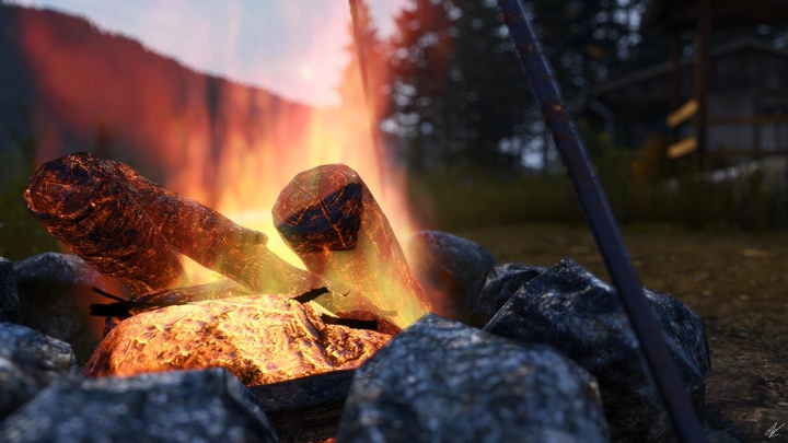DayZ