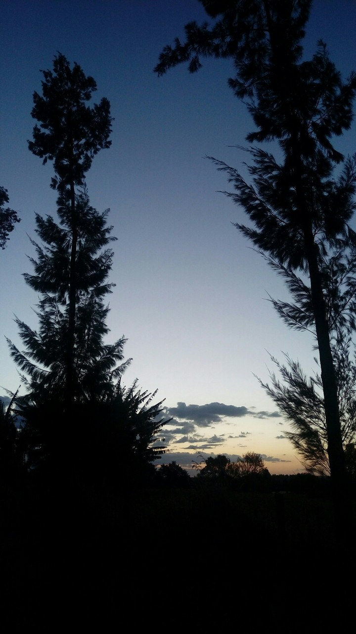 calm