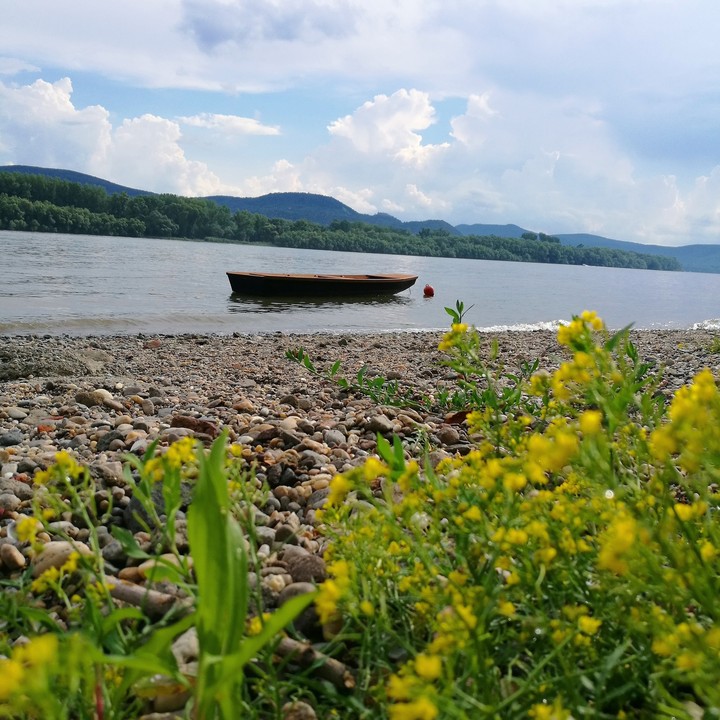 Little boat