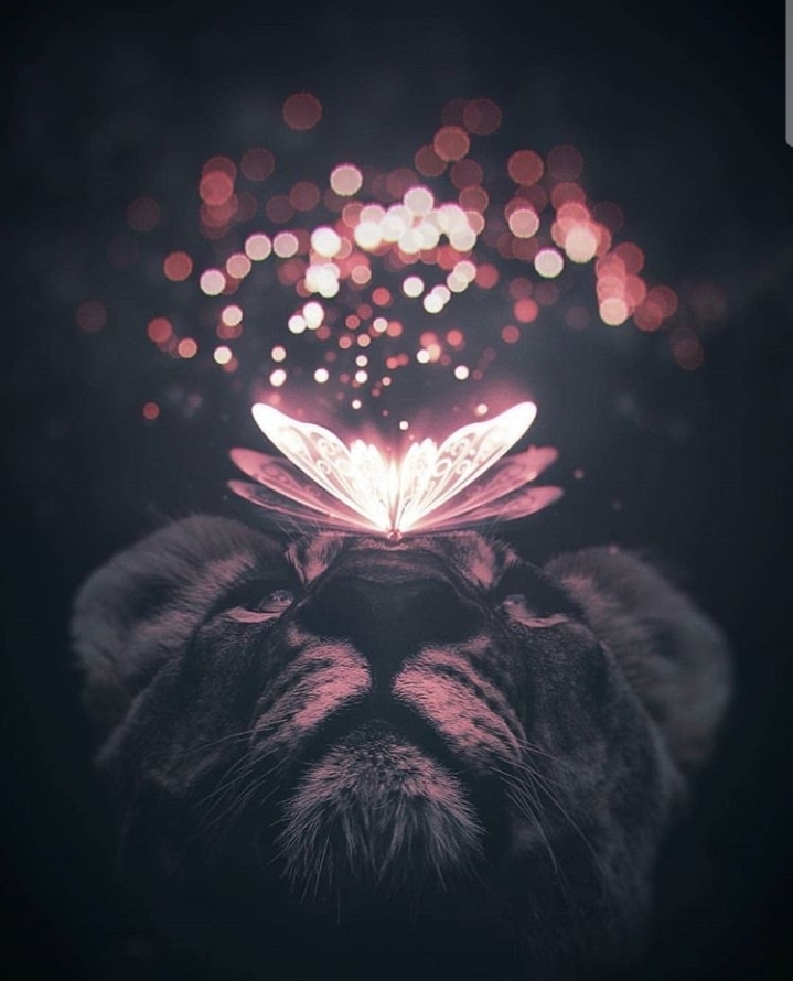 beautiful