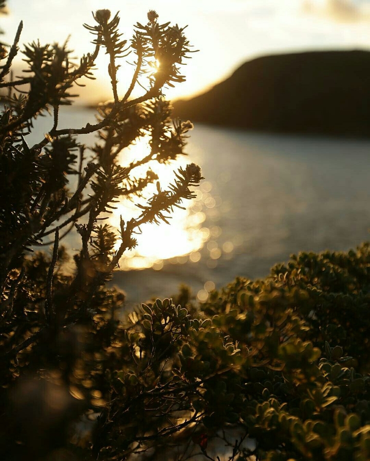 Sunset View