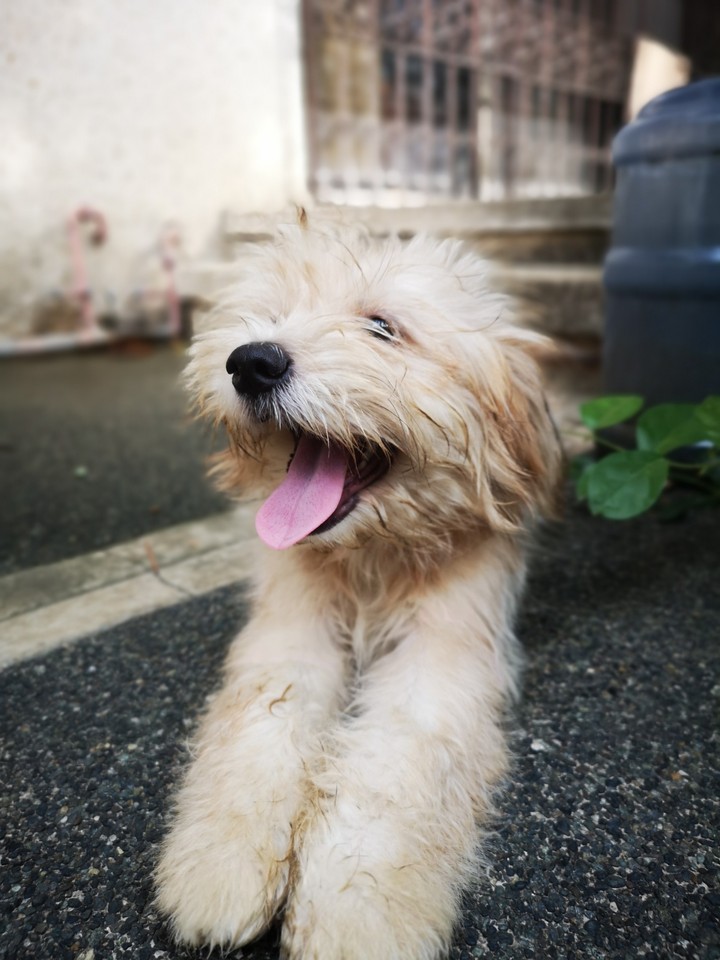 keep smilin