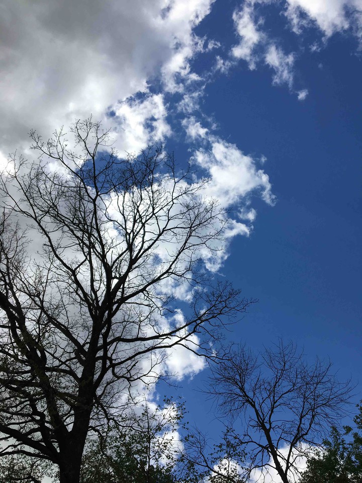 ?☁️?