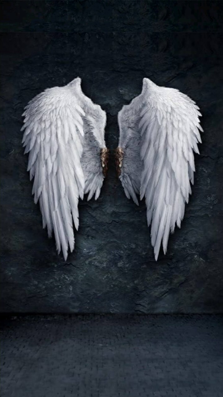 wings