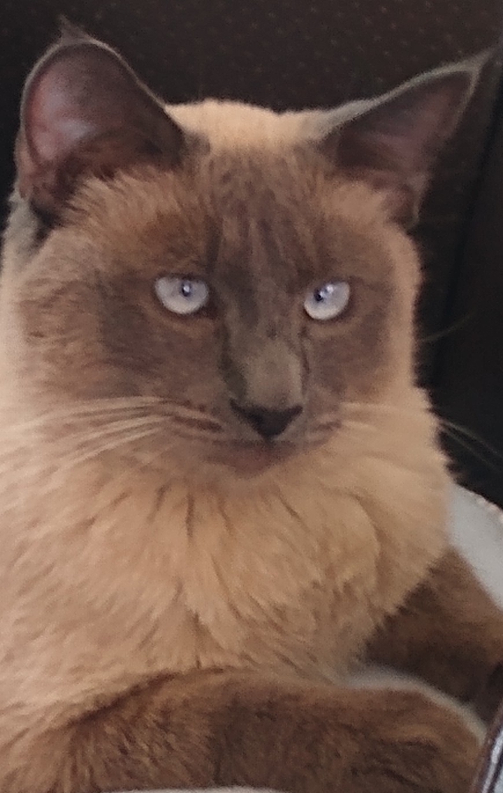 You brought home a What?!