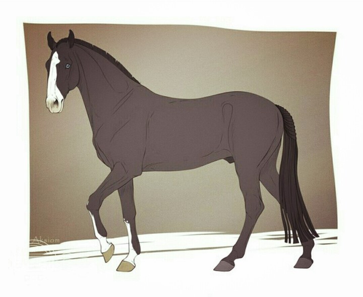 ?☘