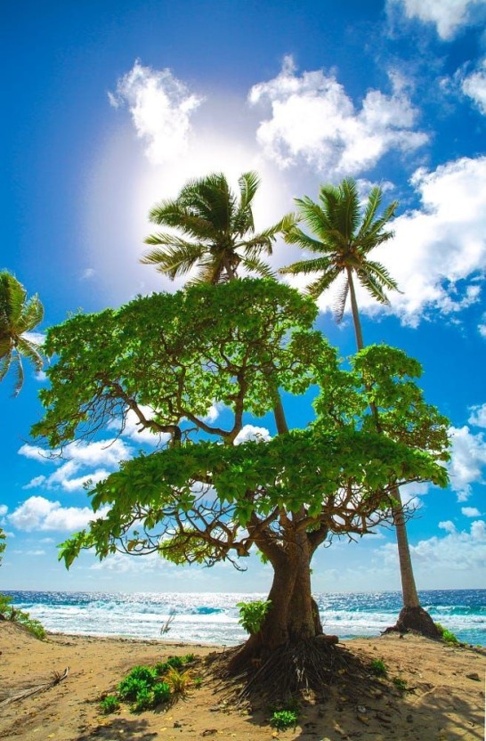 Fantastic ocean view