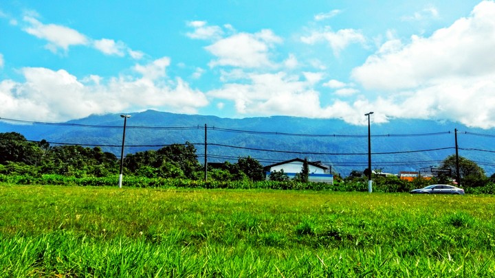woow look the greeen