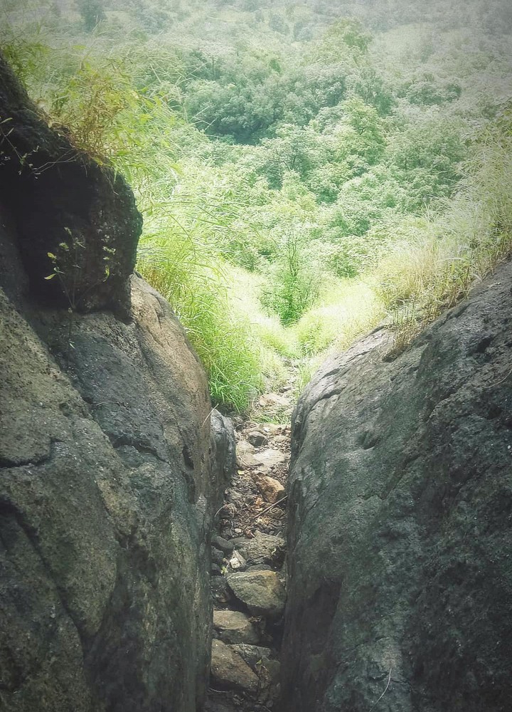 Nature