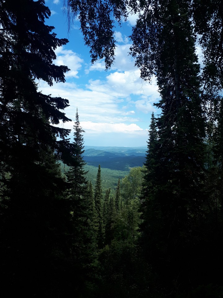 красоты алтая