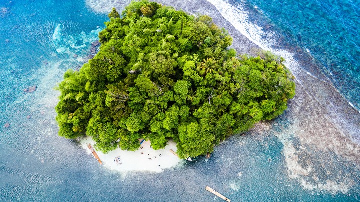 island ʕ•ٹ•ʔʕ•ٹ•ʔ