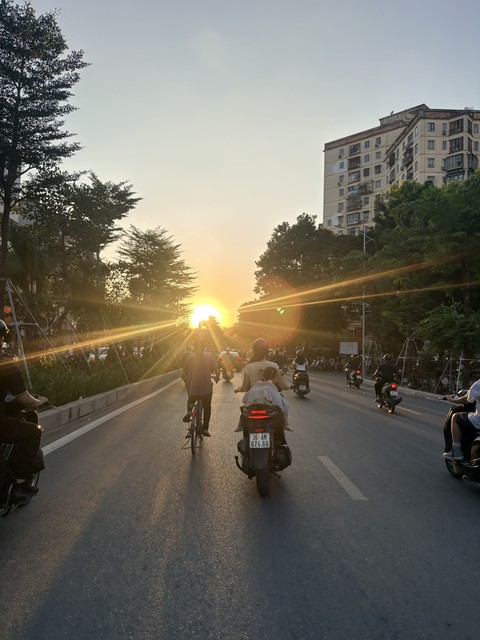 The sun