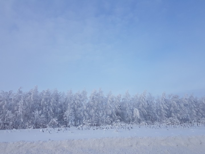 Январь 2019