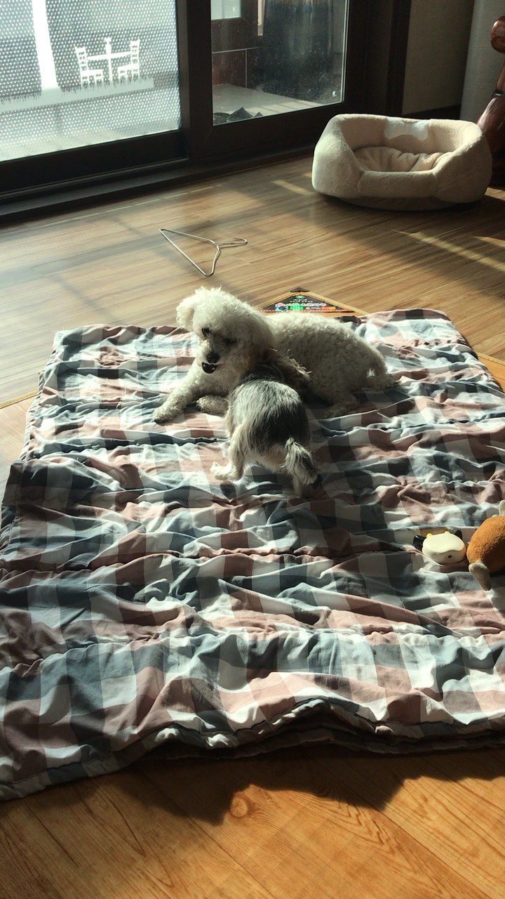 톰과 제리(1)