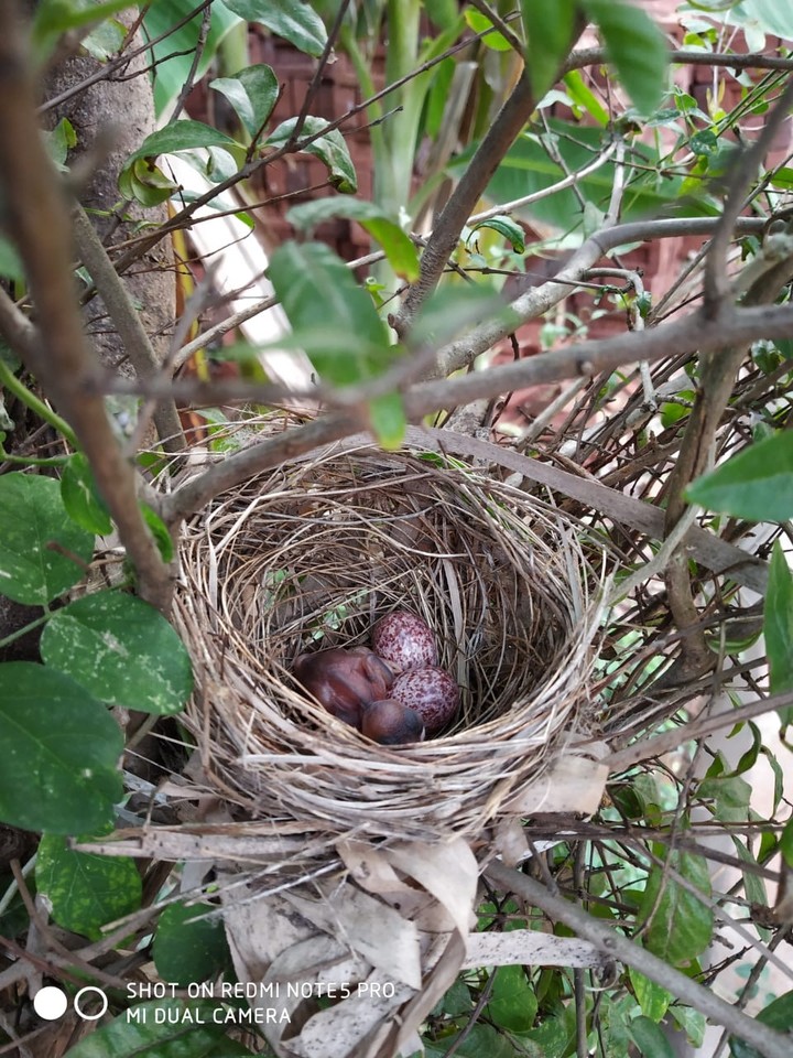 nature is so beautiful