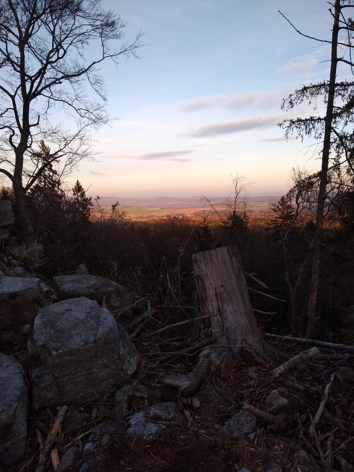 View