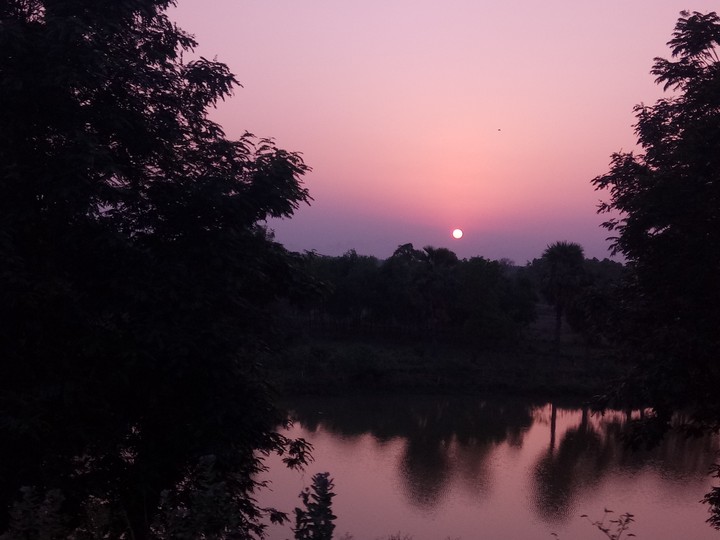 sunset