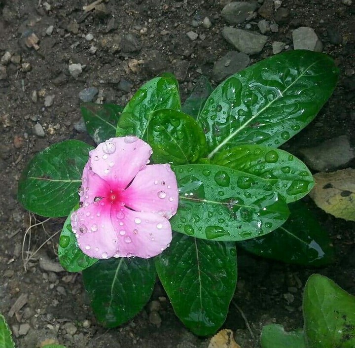 ☺