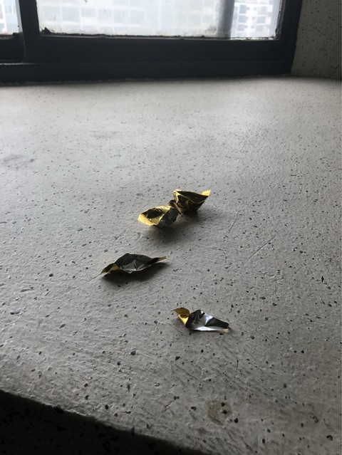 trash