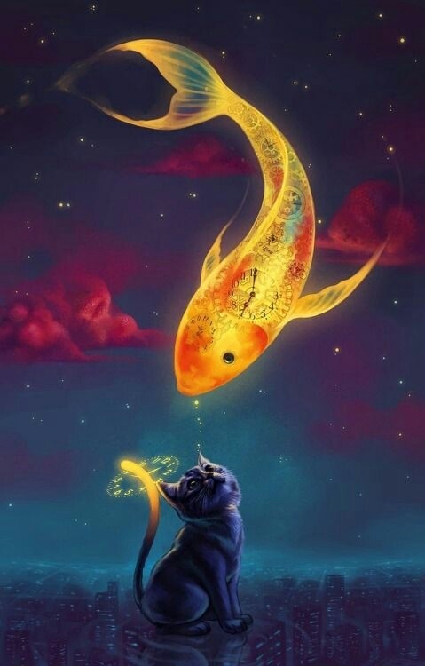 Gato e a Horas