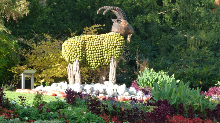 Kürbis Ausstellung Blühendes Barock Schloss Ludwigsburg 2012