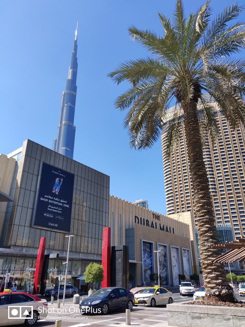 THE DUBAI MALL