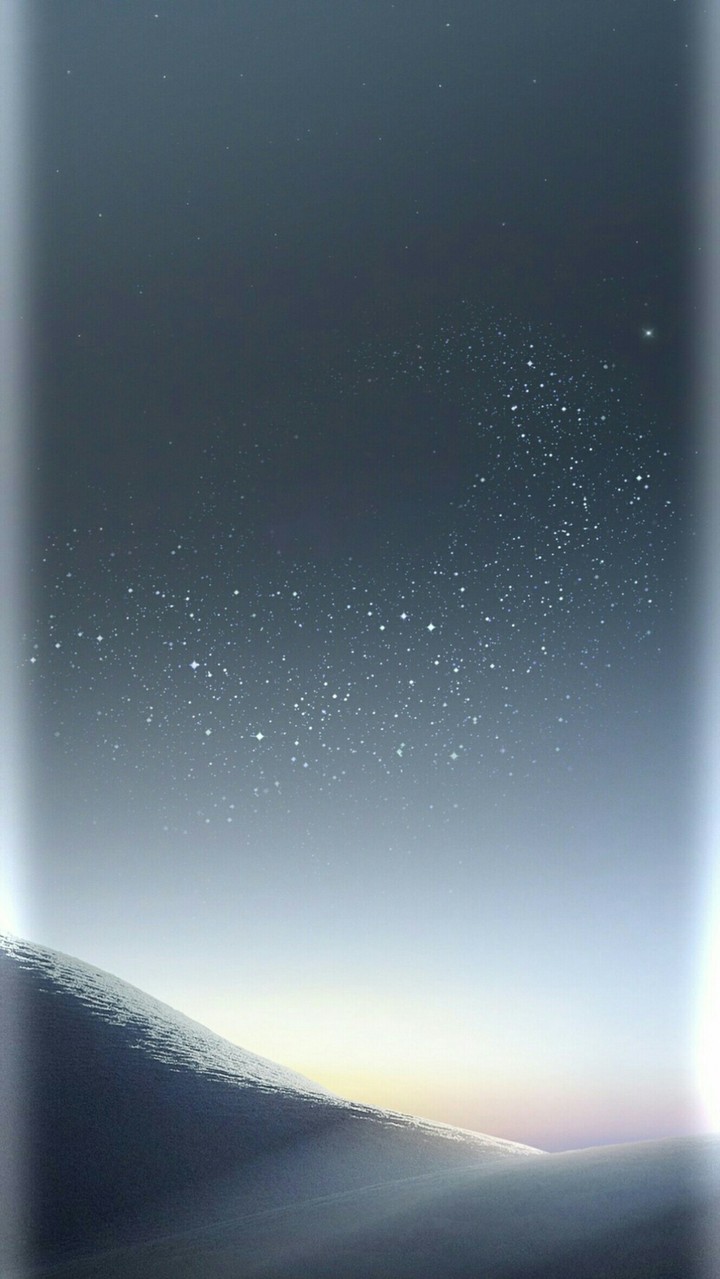 The S8