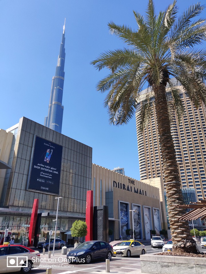 THE DUBAI MALL