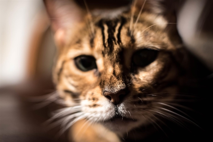 her name is Maja:)