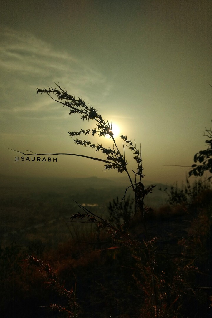 ... morning shot opposite to sun