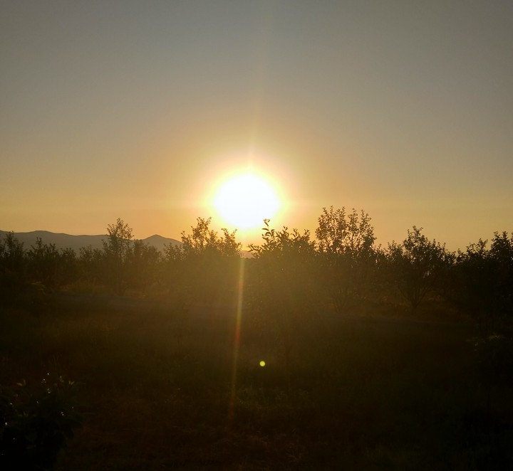Sunrise