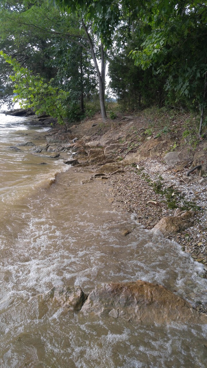 Harrison bay