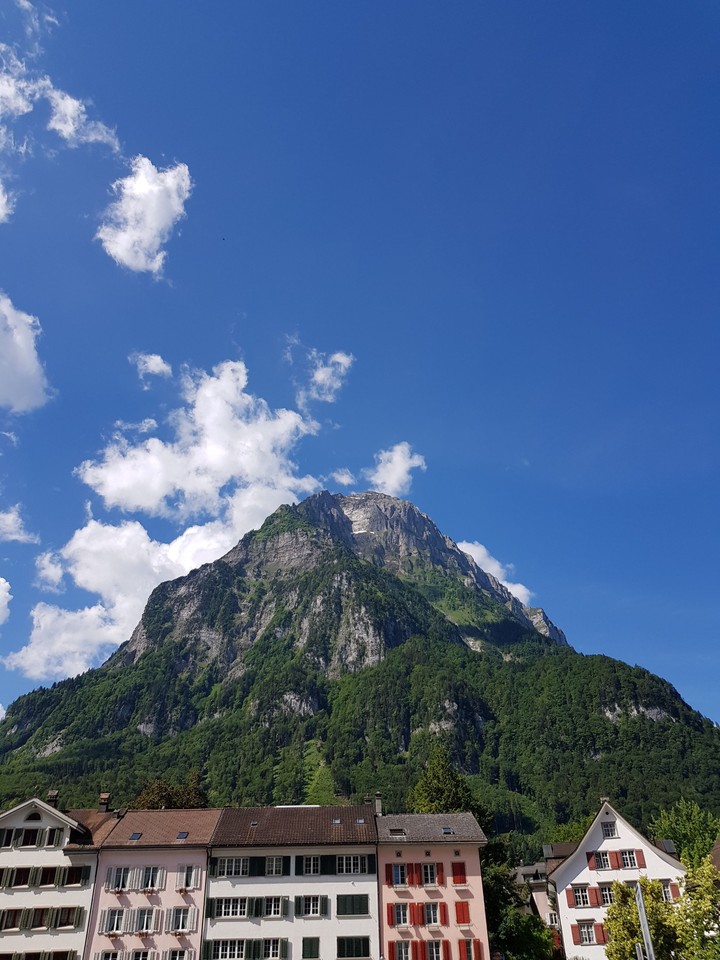 Mountain